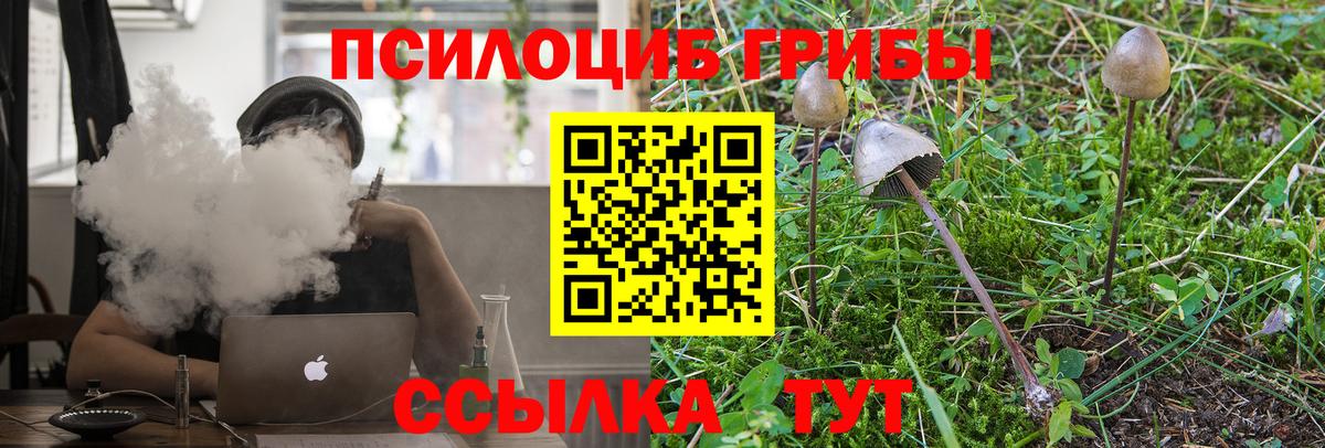 Псилоцибиновые грибы мицелий  Вход с VPN  Псилоцибиновые грибы мухоморы  Борзя 