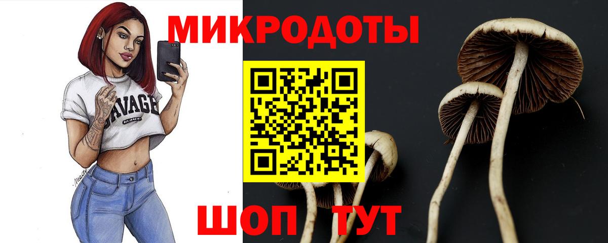 Галлюциногенные грибы прущие грибы Борзя